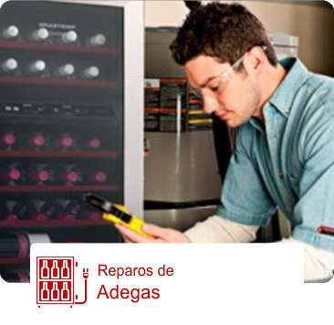 Reparos em Adegas Climatizadas